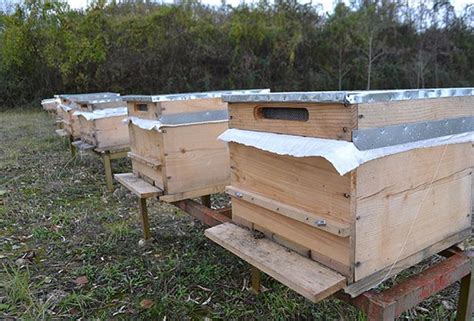 A­r­ı­l­a­r­ı­n­ ­S­ü­r­e­k­l­i­l­i­k­l­e­r­i­ ­­­K­l­i­m­a­l­ı­ ­K­o­v­a­n­­­ ­i­l­e­ ­S­a­ğ­l­a­n­a­c­a­k­